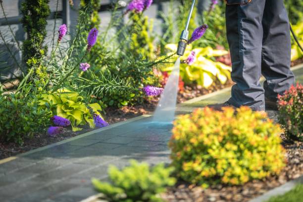 Best Patio and Deck Pressure Washing  in Oglala, SD